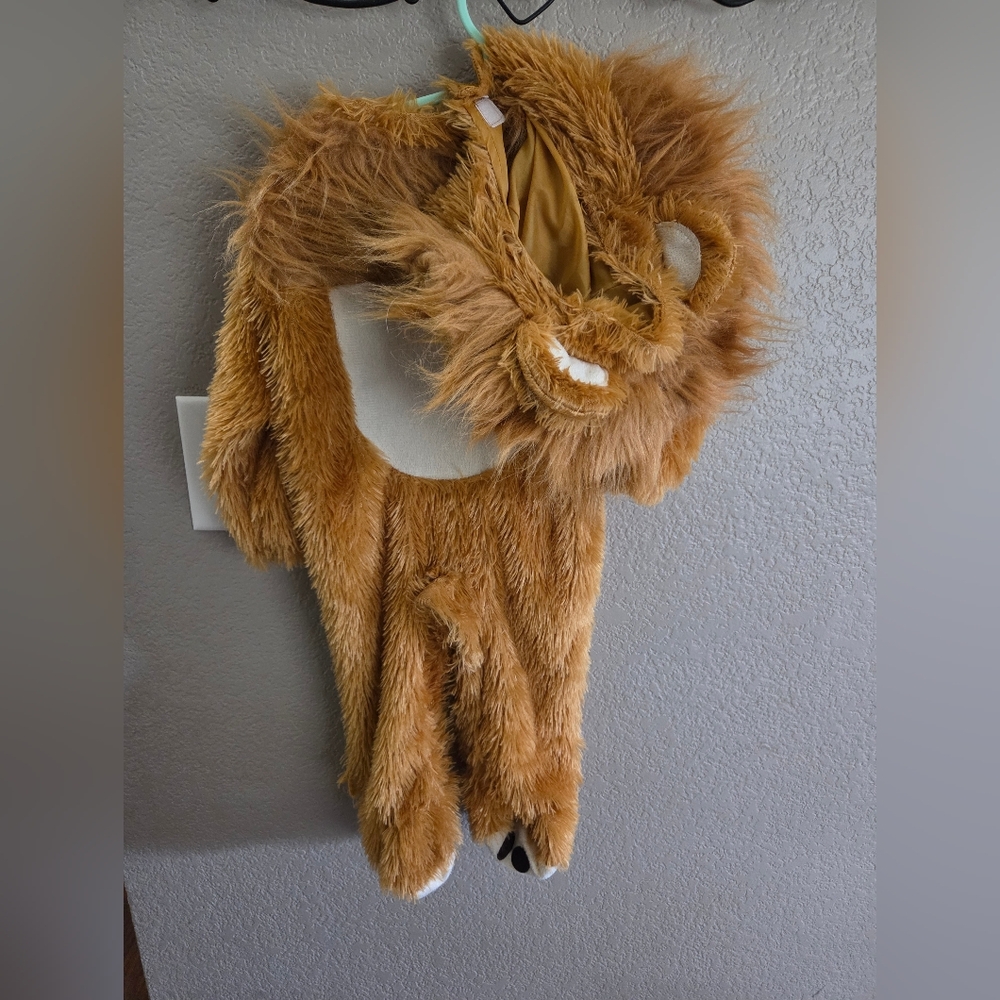 Furry Lion Costume for Kids